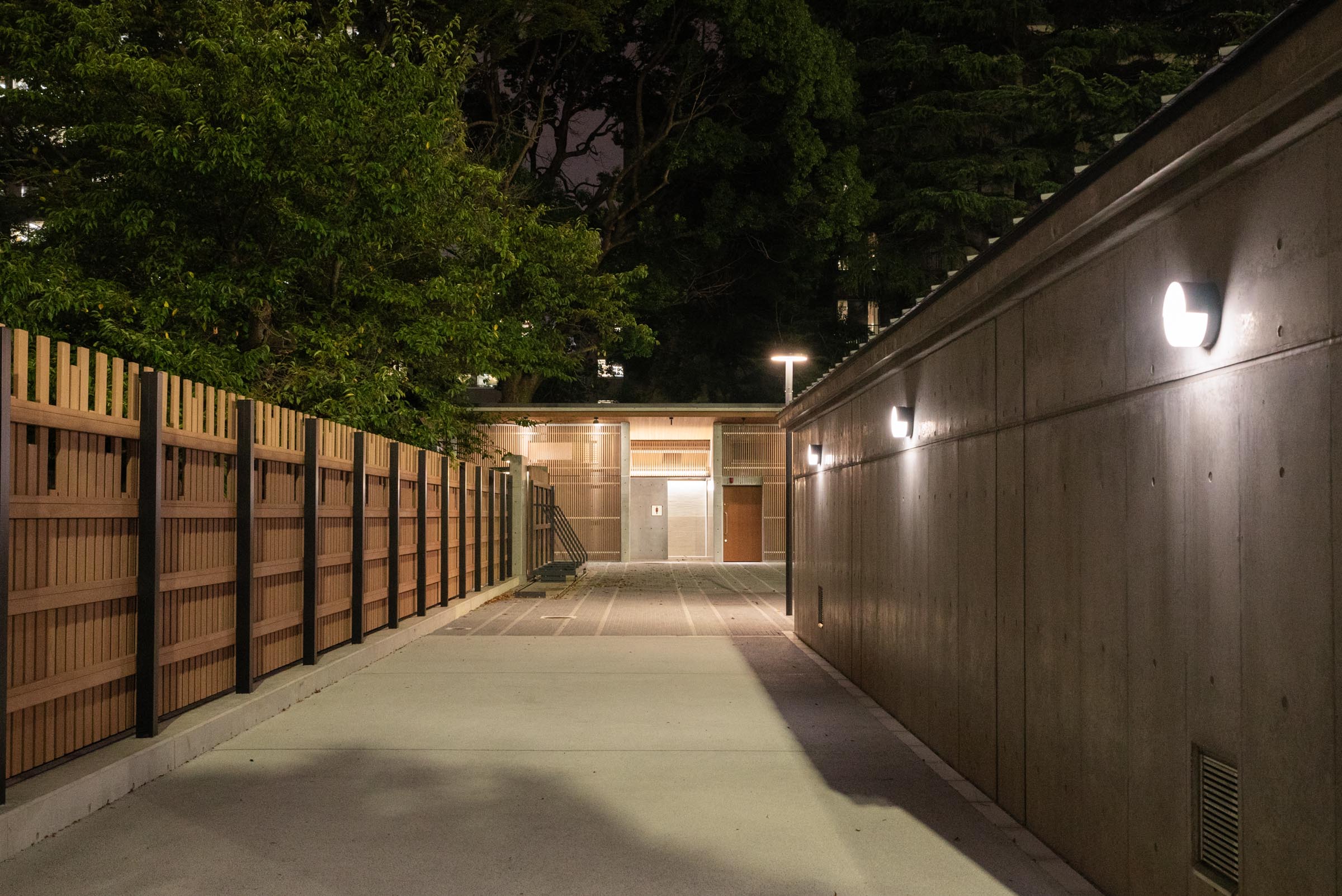 東京都代々木公園陸上競技場の竣工建築写真。光と影、木材を活かしたデザインと時間帯ごとの表情を記録